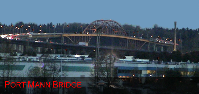 portmannbridge